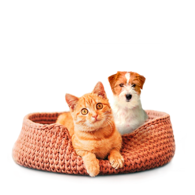 For pets